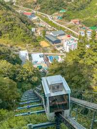 울릉도 모노레일 타고 다녀온 남서일몰전망대