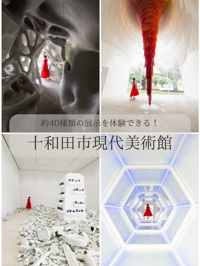 【青森県に行くならココ！🎨】十和田市現代美術館の展示が芸術的すぎる😳✨