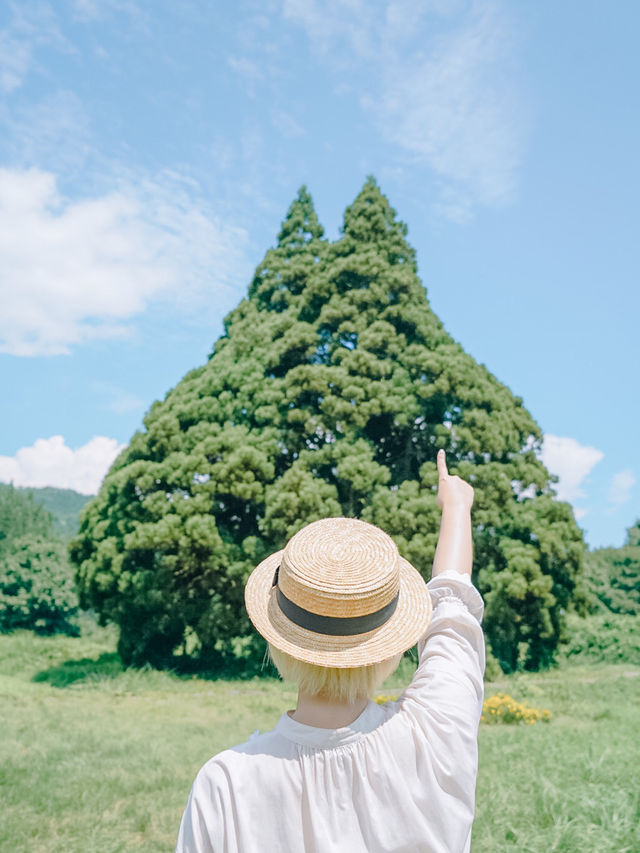 【東北】わざわざ行く価値あり🤩2023年行ってよかった9選！！