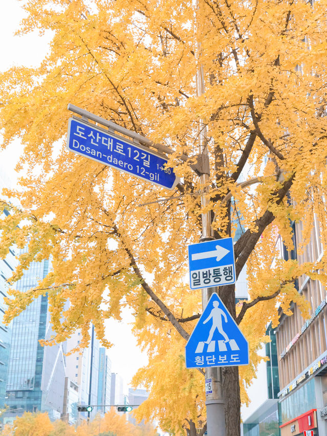 首爾之旅｜必游之地｜好逛又多咖啡廳☕️✨