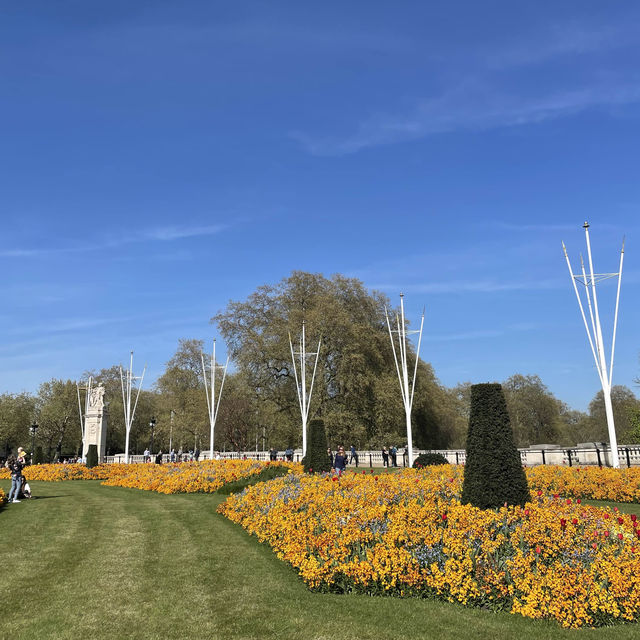 Springtime at Buckingham Palace 