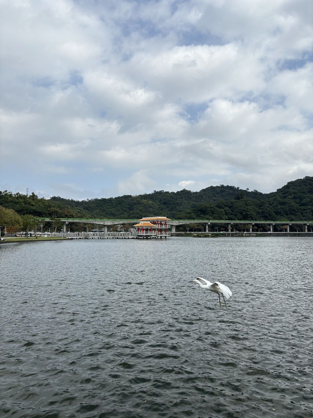 เดินรับไอแดด และชมใบไม้เปลี่ยนสีที่ Dahu Park