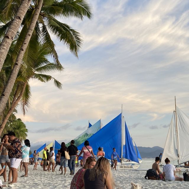 🏝️🎀White Sand Dreams 🎀🏝️