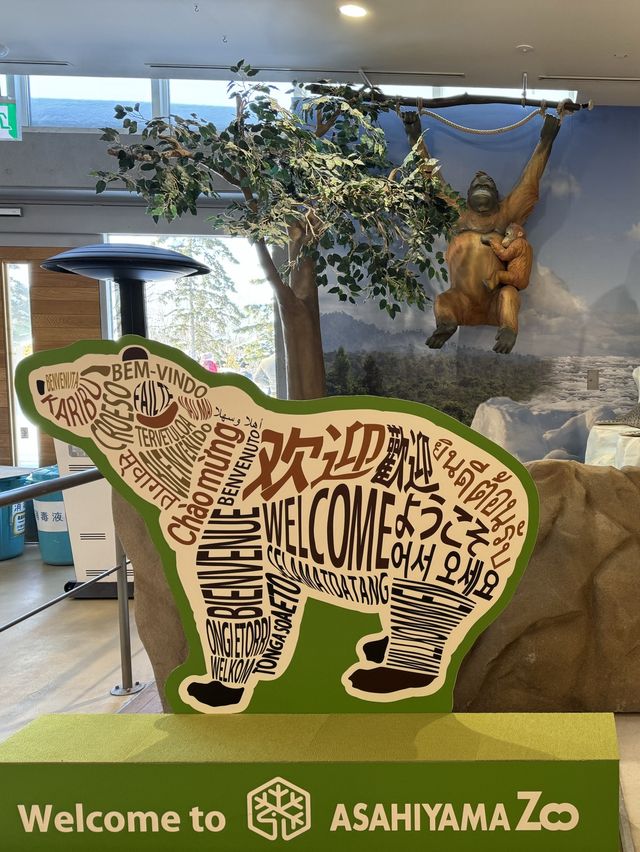 【北海道旅遊】旭山動物園企鵝仔巡遊，join day tour省心