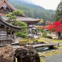 Not to be missed temple in Hakone