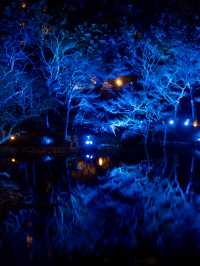 【無料で楽しめる！✨】八芳園のブルーライトアップがとても幻想的！😳✨