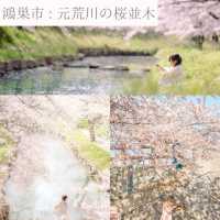 【埼玉】おすすめSAKURAスポット6選
