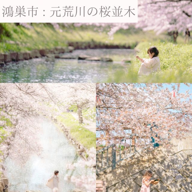 【埼玉】おすすめSAKURAスポット6選