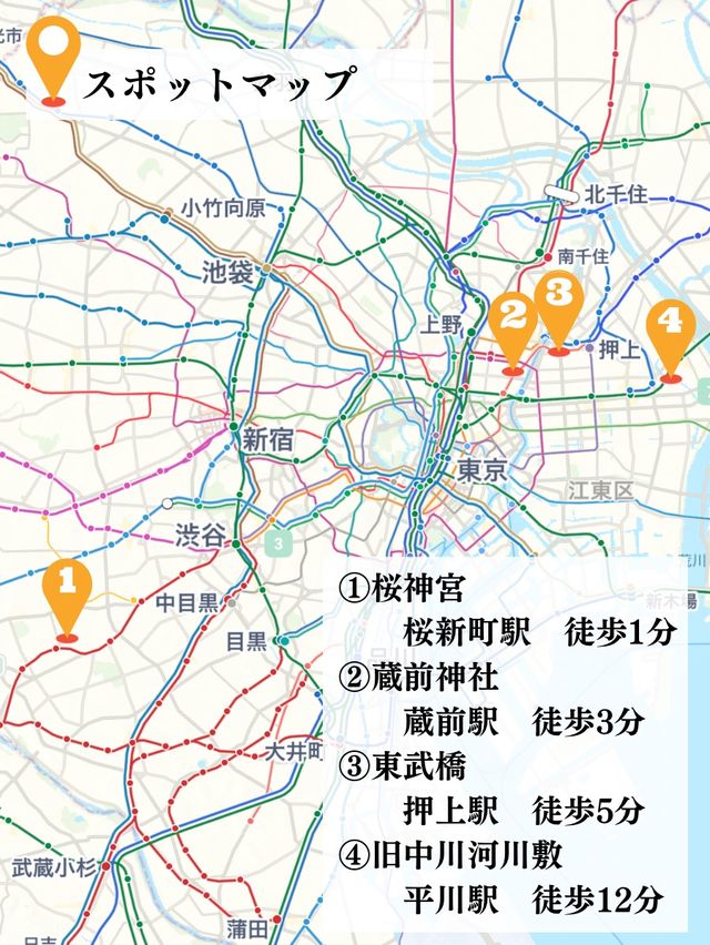 ここだけは押さえておきたい都内河津桜4選✨