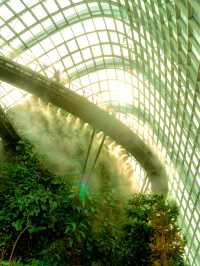 Cloud Forest at Gardens by the Bay