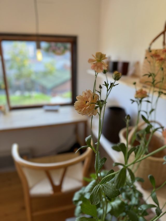【福岡カフェ】住宅街の中にある隠れ家ガーデンパブ❁⃘*.ﾟ