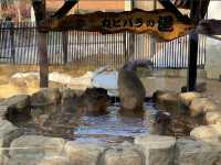 Toyama Family Park