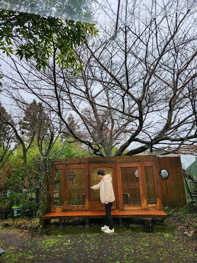 겨울에 제주여행가서 제주감성 한번에 모두 느낄수 있는 카페 미스틱 3도☺️