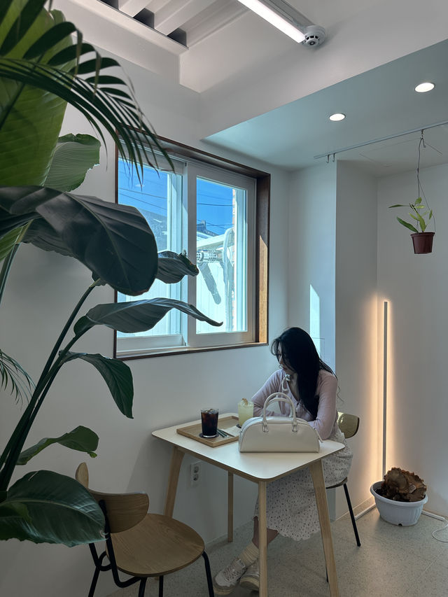 아야진해변 근처 그리너리한 브런치카페 🍳🥯🌿
