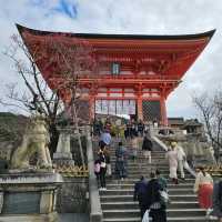 京都必逛景點“清水寺”