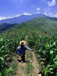 trekking through mountain