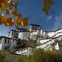 冬天是西藏最美節季節