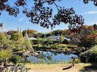 Well-maintained Traditional Japanese Garden