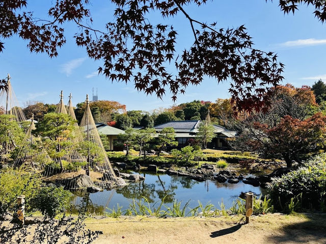 Well-maintained Traditional Japanese Garden