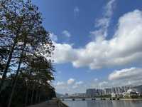香港好去處 | 坐港鐵屯馬線去賞櫻(三) | 石門安景街公園