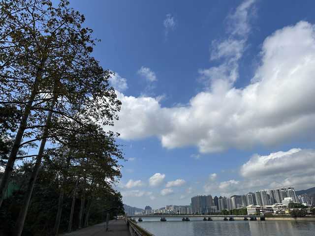 香港好去處 | 坐港鐵屯馬線去賞櫻(三) | 石門安景街公園