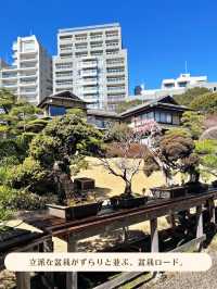 【東京|白金台】無料の日本庭園🌸