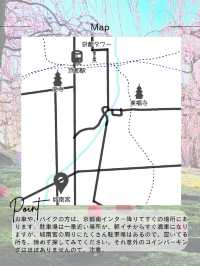 【京都/死ぬまでに1度は見たい絶景】城南宮、梅祭り🏮平日も開門前から込み合う超人気スポット