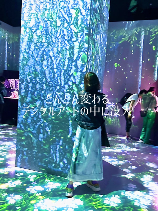 【東京】【品川】リトルマーメイドっぽいデジタルアート水族館🌴🐬✨