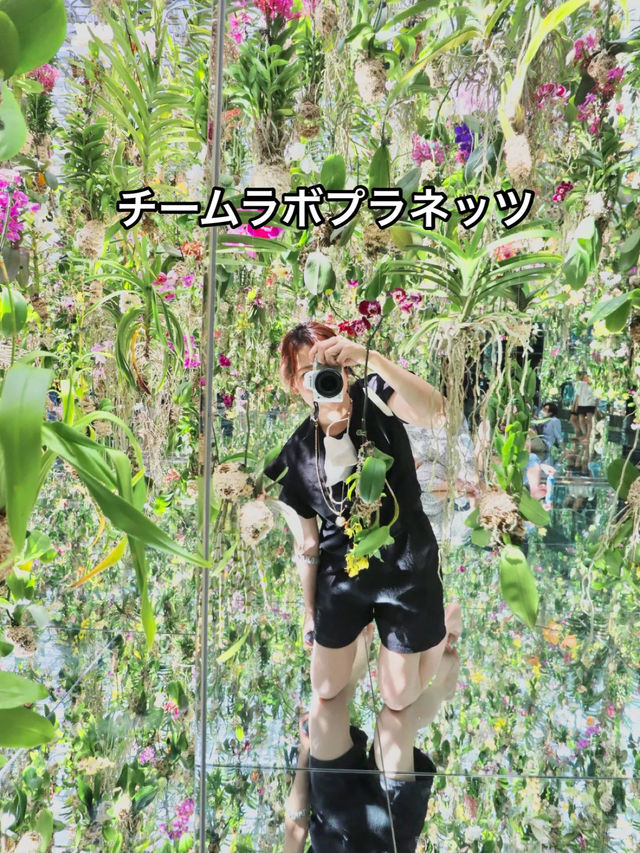 【東京】チームラボプラネッツ初心者ガイド♡