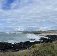 Exploring the Beauty of Aewol Coastal Road