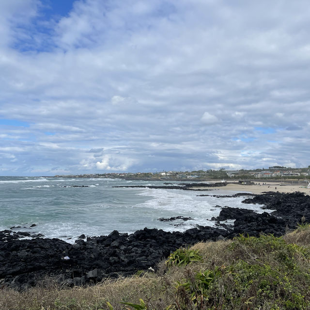 Exploring the Beauty of Aewol Coastal Road