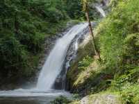 อุทยานแห่งชาติแจ้ซ้อน - Chae Son National Park