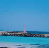 Du lịch đảo Jeju 2 ngày 1 đêm