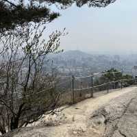 인왕산 자락길에서 즐기는 벚꽃놀이🌸