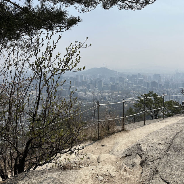 인왕산 자락길에서 즐기는 벚꽃놀이🌸
