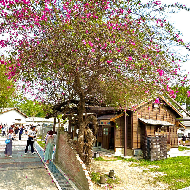 國家漫畫博物館 