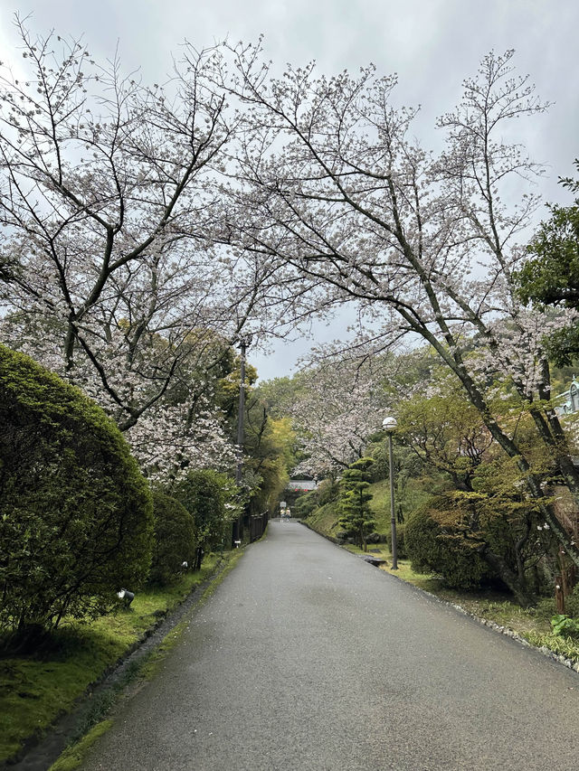 【📍愛媛】国重要文化財 萬翠荘