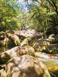 Daintree National Park