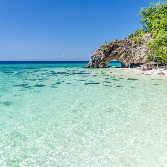 📢 Calling all beach lovers and nature enthusiasts! 🌴✨