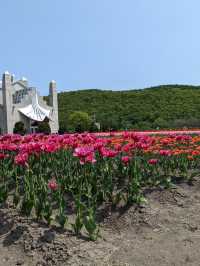 Kamiyubetsu Tulip Park