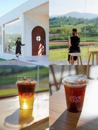 แจกแพลนเที่ยวเขาใหญ่ - วังน้ำเขียว