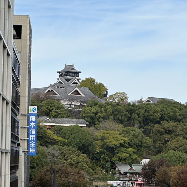 熊本市一天遊正式開始🥰