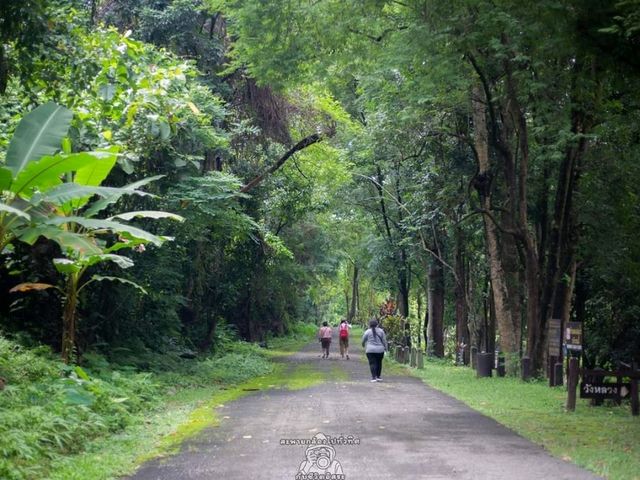 ไปเที่ยวน้ำตกกัน : น้ำตกแม่กลาง จ.เชียงใหมา