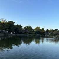 熊本的水前寺成趣園