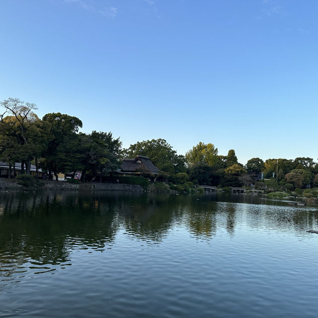 熊本的水前寺成趣園
