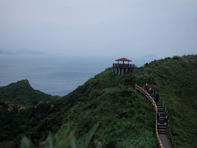 เดินศึกษาธรรมชาติที่ Bitou Cape Taiwan