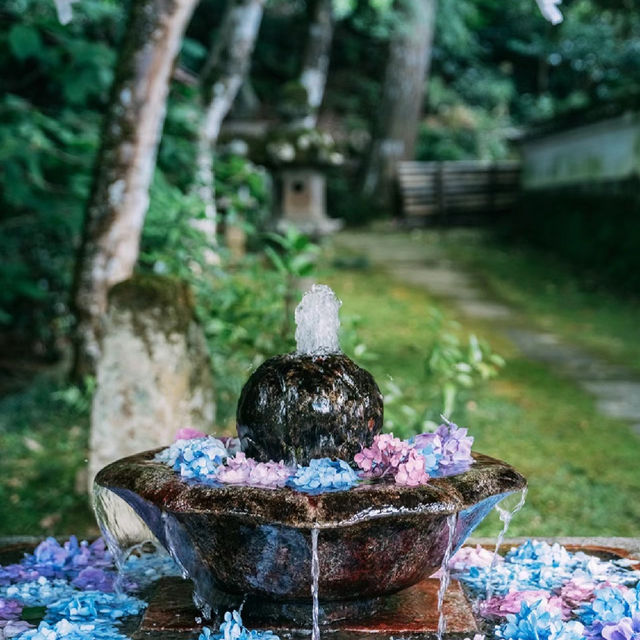 【福岡景點】星之花公園～漫步賞景