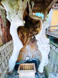 【金蛇水神社/宮城県】金運ご利益の水の神様を祀る