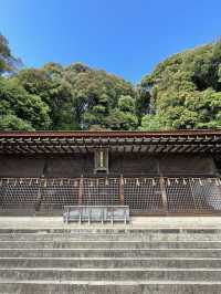 【京都府】世界文化遺産「宇治上神社」を参拝！