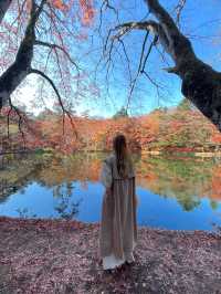 軽井沢紅葉のリフレクション！雲場池